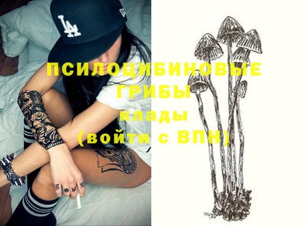 первитин Володарск