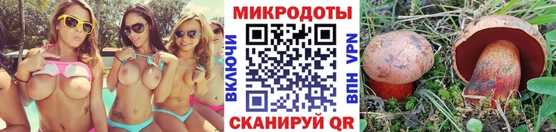 Псилоцибиновые грибы мухоморы  Новоржев 